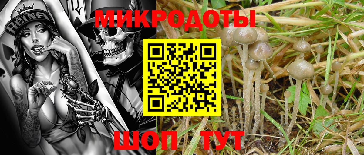 Галлюциногенные грибы мухоморы  хочу   Сочи  Вход с VPN 