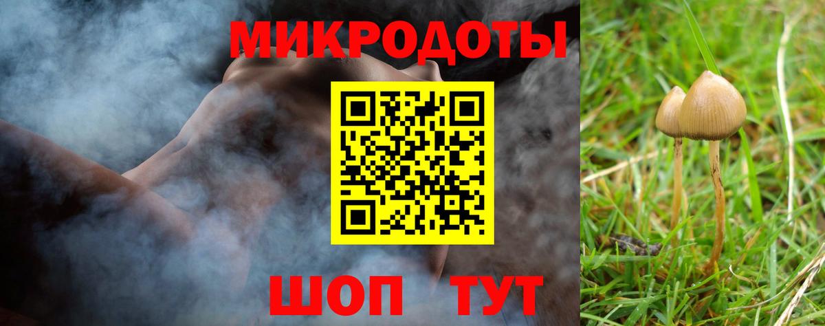 Галлюциногенные грибы Psilocybine cubensis Сочи