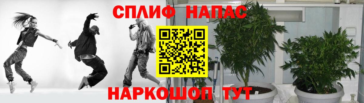 ТГК Сочи